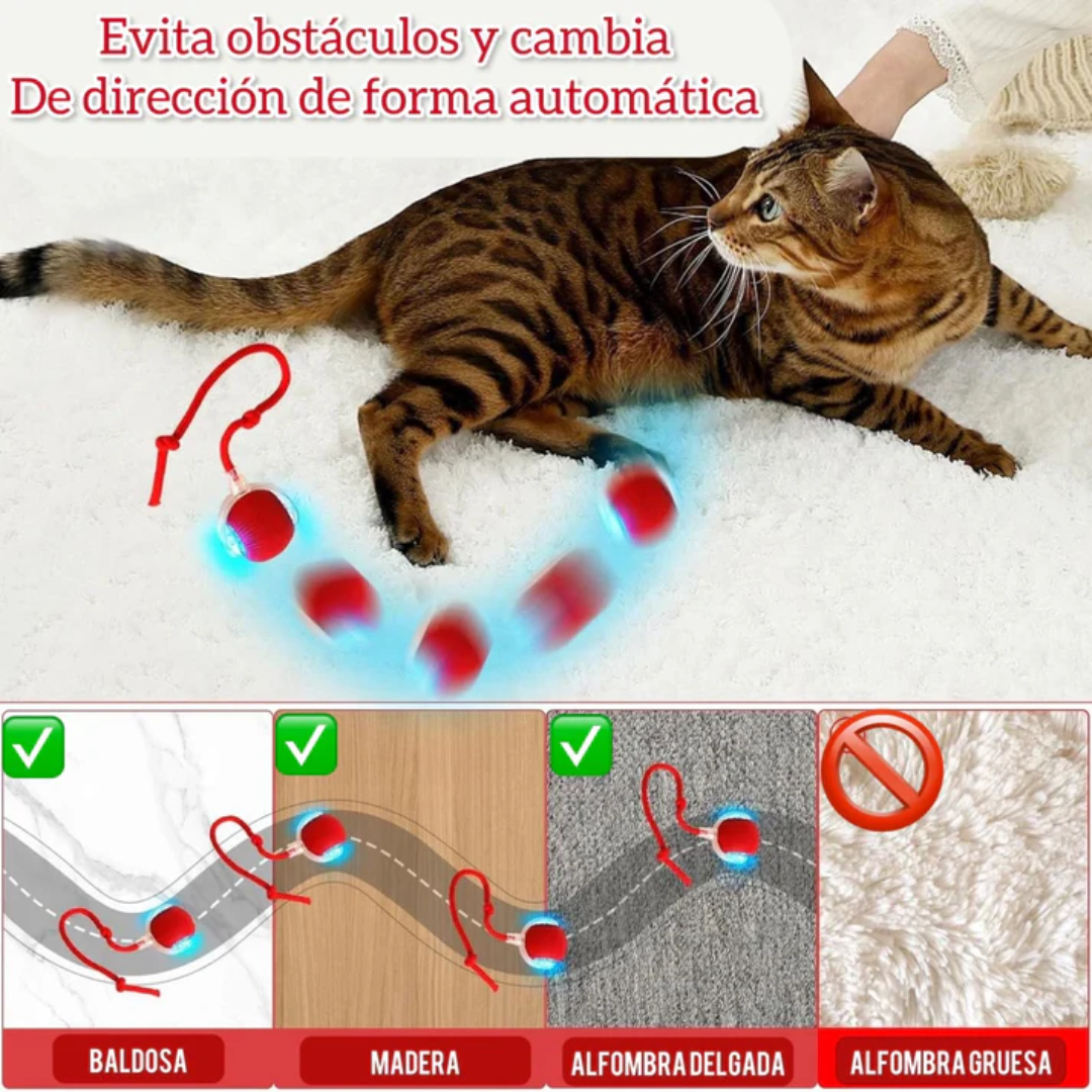 PlayBall Pro™ | Pelota Recargable Para Mascota🔥🐾