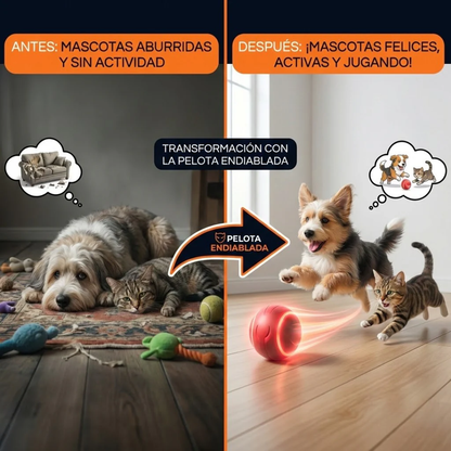 PlayBall Pro™ | Pelota Recargable Para Mascota🔥🐾