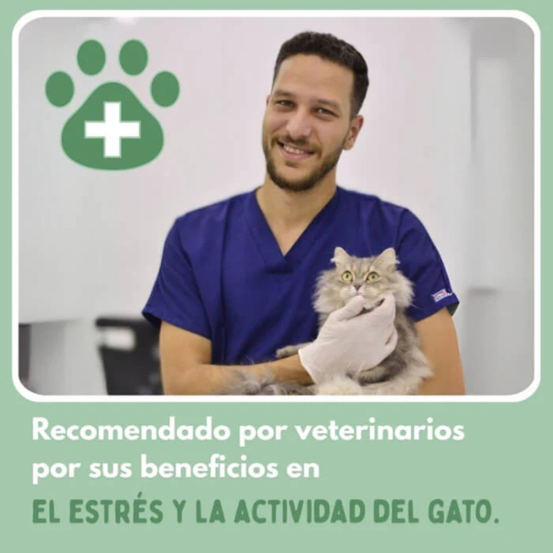 PlayBall Pro™ | Pelota Recargable Para Mascota🔥🐾