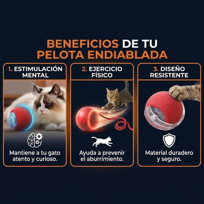 PlayBall Pro™ | Pelota Recargable Para Mascota🔥🐾
