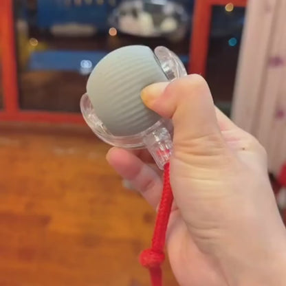PlayBall Pro™ | Pelota Recargable Para Mascota🔥🐾
